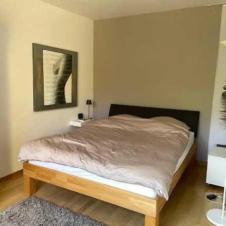 Messe- Und Mit Dachterrasse Am Fluss Apartment